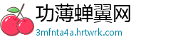 功薄蝉翼网